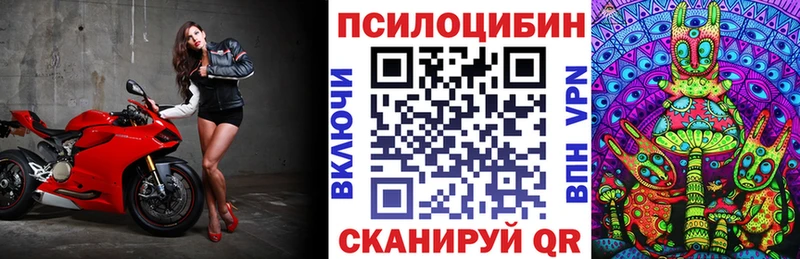 Псилоцибиновые грибы Psilocybine cubensis  Завитинск 